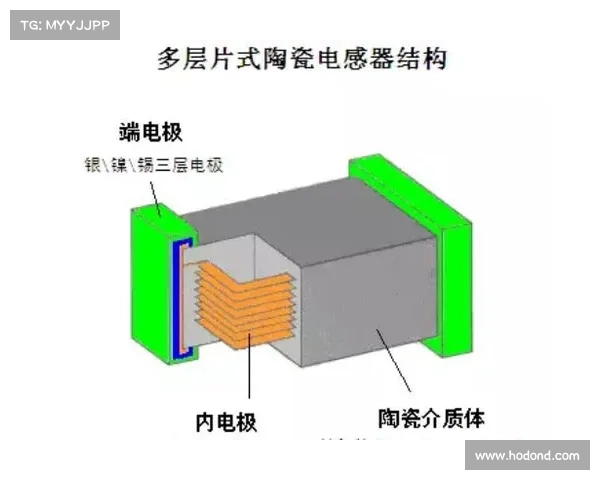 如何全面了解斯坦福桥所属组织的结构与发展历程